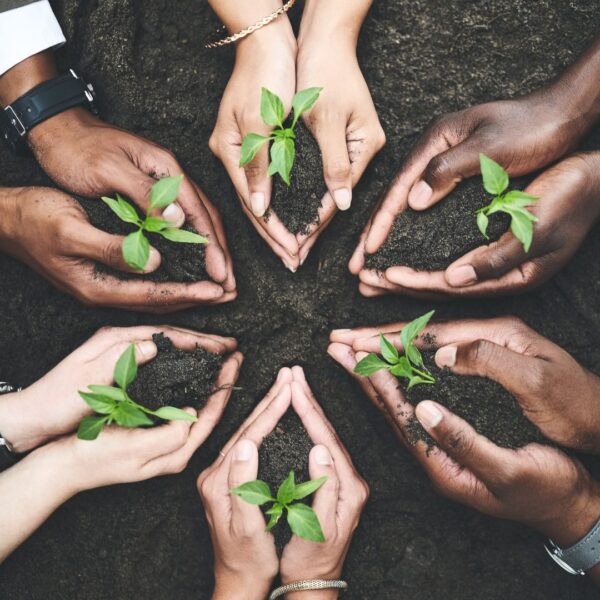 sustainability